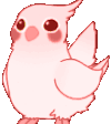 :birbrave: