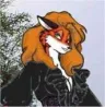Cynderbear
