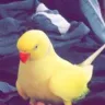 LilSquishy