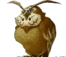 k0nkelberry