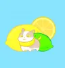 LazySun