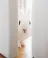 shrimpy